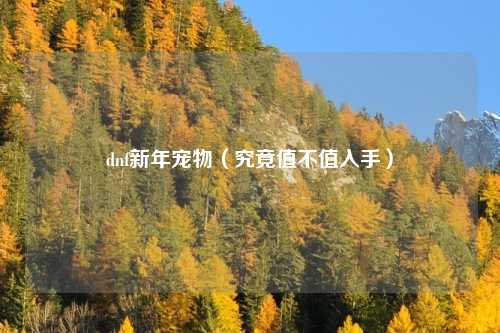 dnf新年宠物(究竟值不值入手)