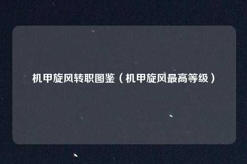 机甲旋风转职图鉴(机甲旋风最高等级)