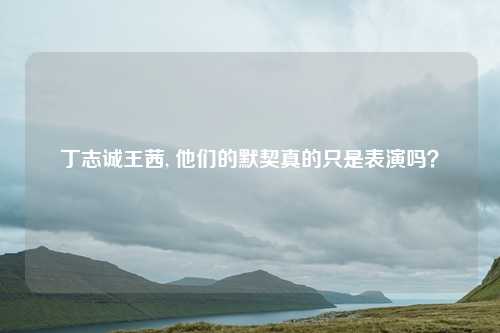 丁志诚王茜, 他们的默契真的只是表演吗？