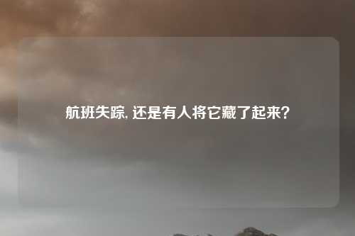 航班失踪, 还是有人将它藏了起来？
