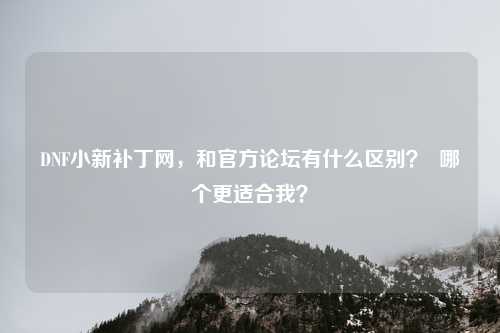 DNF小新补丁网,和官方论坛有什么区别? 哪个更适合我?