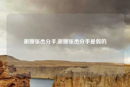 谢娜张杰分手,谢娜张杰分手是假的