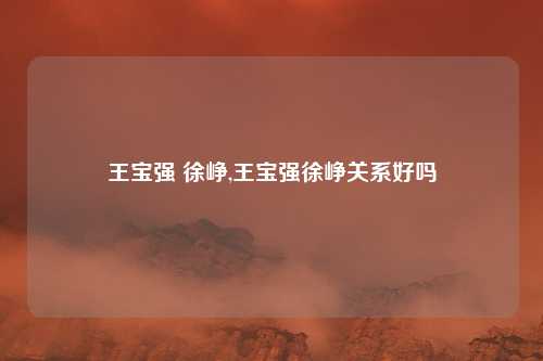 王宝强 徐峥,王宝强徐峥关系好吗