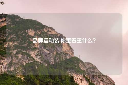 品牌运动装,你更看重什么？