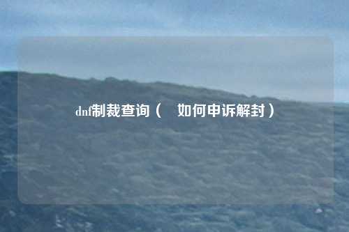 dnf制裁查询( 如何申诉解封)