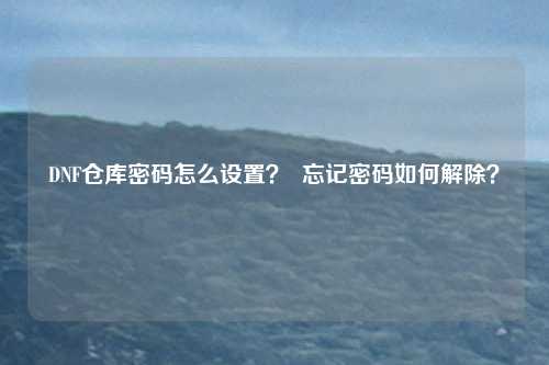 DNF仓库密码怎么设置? 忘记密码如何解除?