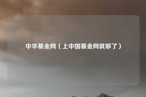 中华基金网(上中国基金网就够了)