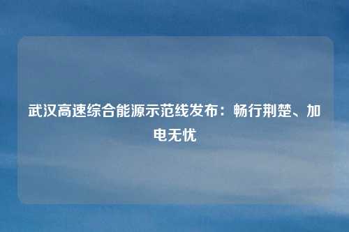 武汉高速综合能源示范线发布:畅行荆楚、加电无忧