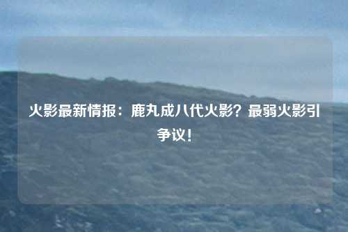 火影最新情报:鹿丸成八代火影?最弱火影引争议!