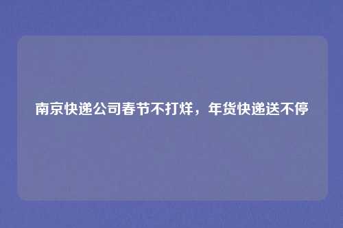 南京快递公司春节不打烊，年货快递送不停