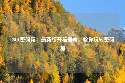 CSOL密码箱:最新版开箱指南,教你玩转密码箱