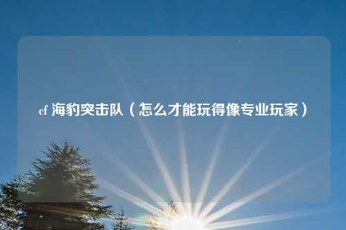 cf 海豹突击队(怎么才能玩得像专业玩家)