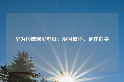 华为国徽熄屏壁纸:爱国情怀,尽在指尖