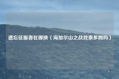 遗忘征服者在哪换(海加尔山之战找泰多姆吗)
