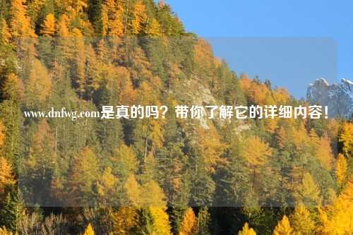 www.dnfwg.com是真的吗？带你了解它的详细内容！