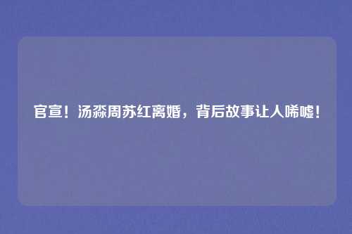 官宣！汤淼周苏红离婚，背后故事让人唏嘘！