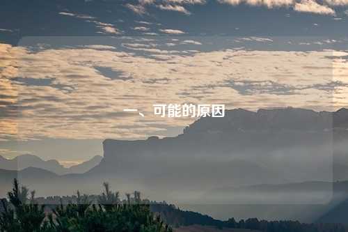 一、可能的原因