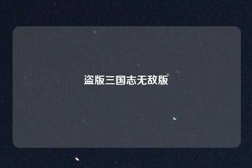 盗版三国志无敌版