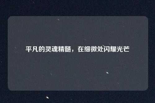 平凡的灵魂精髓,在细微处闪耀光芒