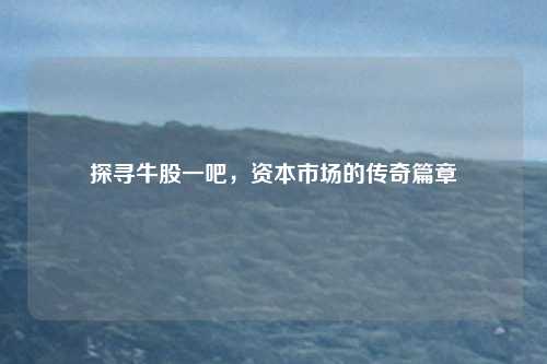 探寻牛股一吧，资本市场的传奇篇章