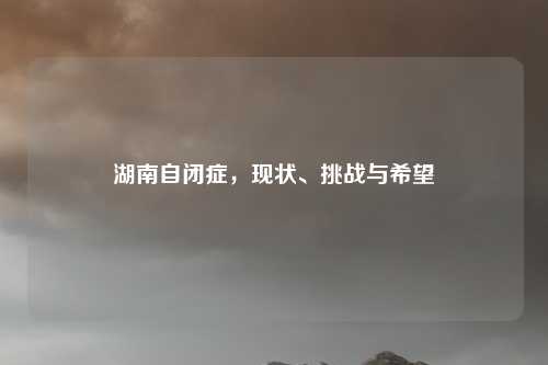 湖南自闭症，现状、挑战与希望