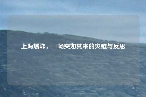 上海爆炸，一场突如其来的灾难与反思