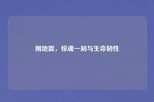 刚地震，惊魂一刻与生命韧性