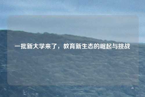 一批新大学来了,教育新生态的崛起与挑战