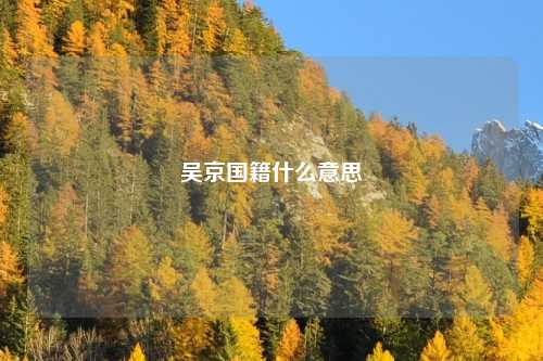 吴京国籍什么意思