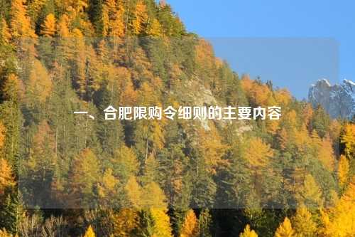 一、合肥限购令细则的主要内容
