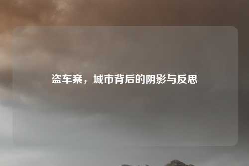 盗车案，城市背后的阴影与反思