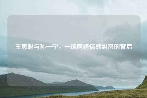 王思聪与孙一宁，一场网络情感纠葛的背后