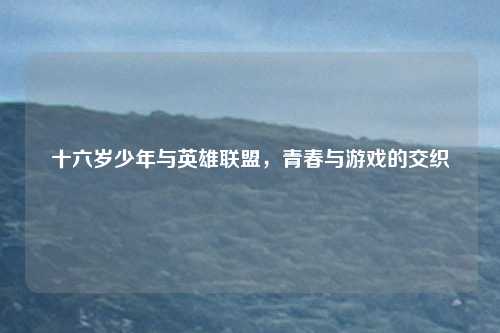 十六岁少年与英雄联盟，青春与游戏的交织