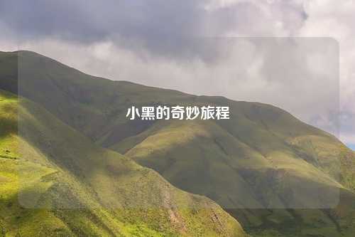 小黑的奇妙旅程