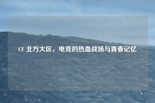 CF 北方大区，电竞的热血战场与青春记忆