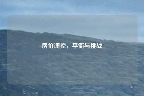 房价调控，平衡与挑战