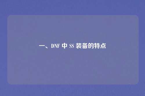 一、DNF 中 SS 装备的特点
