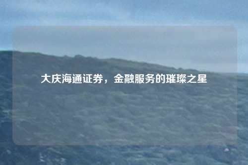 大庆海通证券，金融服务的璀璨之星