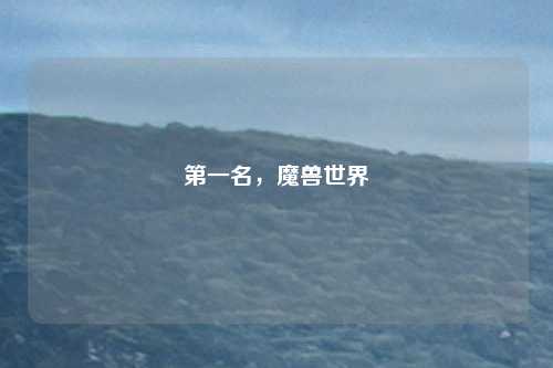 第一名，魔兽世界