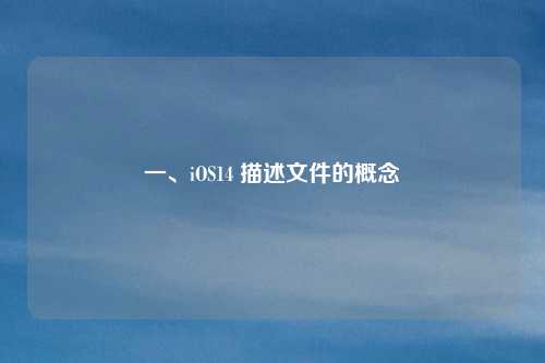 一、iOS14 描述文件的概念