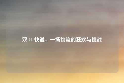 双 11 快递，一场物流的狂欢与挑战