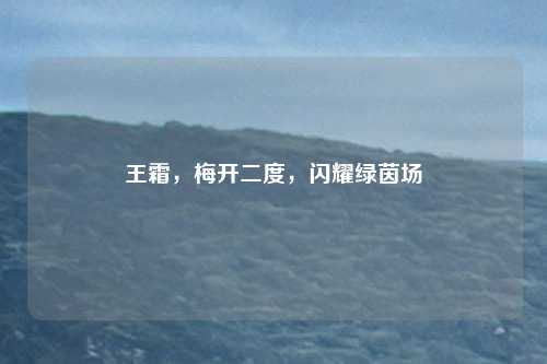 王霜，梅开二度，闪耀绿茵场