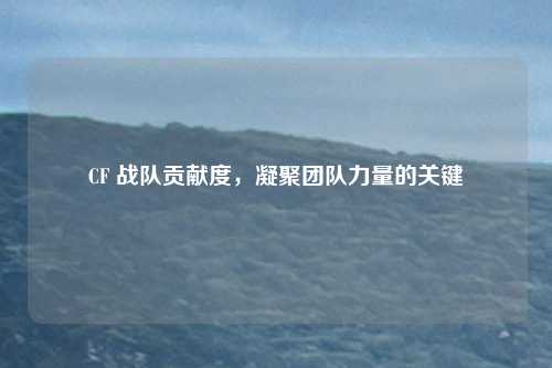CF 战队贡献度，凝聚团队力量的关键