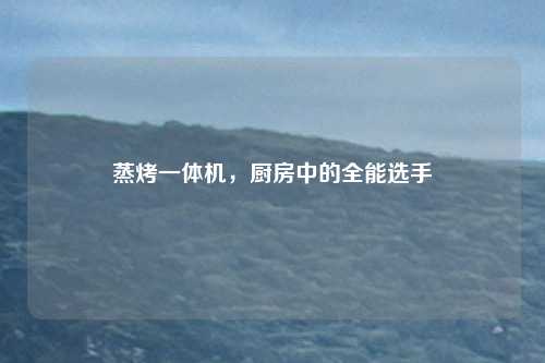 蒸烤一体机，厨房中的全能选手