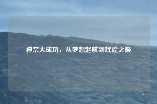 神奈大成功,从梦想起航到辉煌之巅