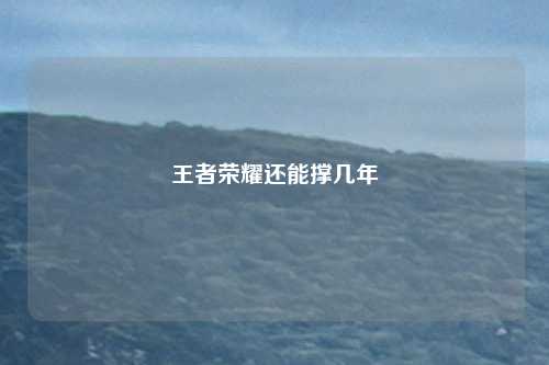 王者荣耀还能撑几年