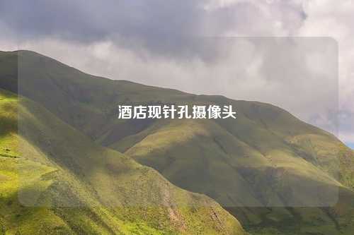 酒店现针孔摄像头