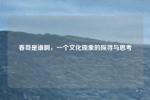 春哥是谁啊，一个文化现象的探寻与思考