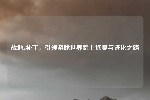 战地2补丁，引领游戏世界踏上修复与进化之路