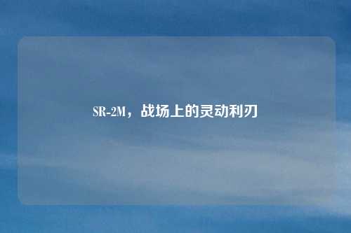 SR-2M，战场上的灵动利刃